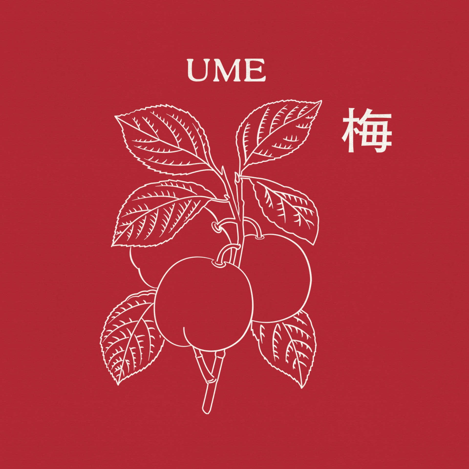 SM-Ume USE